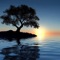 Psalm 1 - Electronic Psalmists lyrics