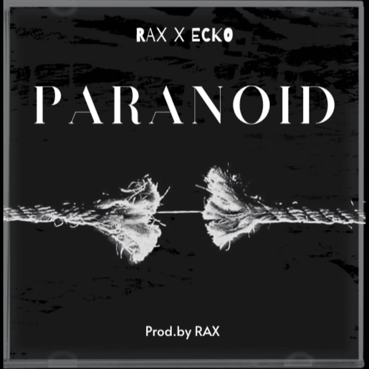 Parano!D - Single - Album by RaX & ECKO - Apple Music