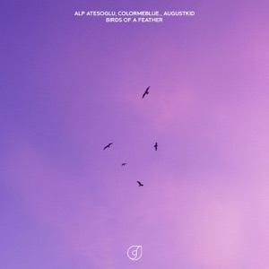 Birds Of A Feather (feat. AUGUSTKID)
