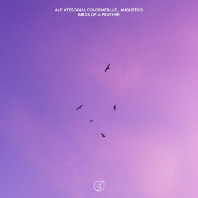 Birds Of A Feather (feat. AUGUSTKID) - Single