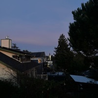 cold - Single - MERLOT