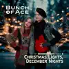 Christmas Lights, December Nights
