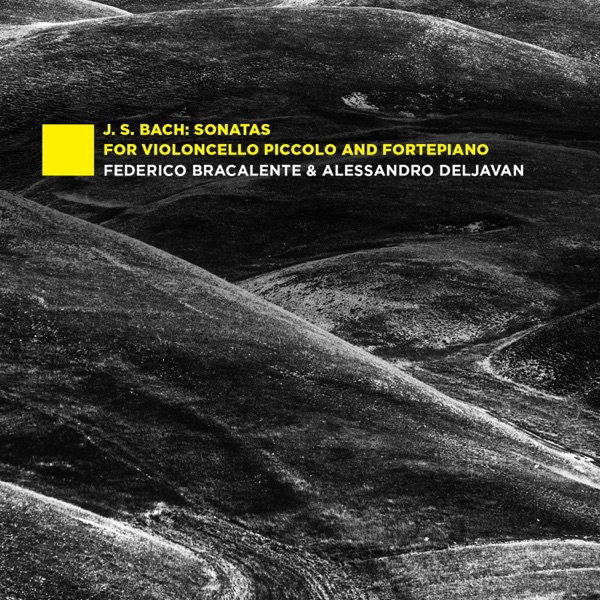 Sonatas for Violoncello Piccolo and Fortepiano