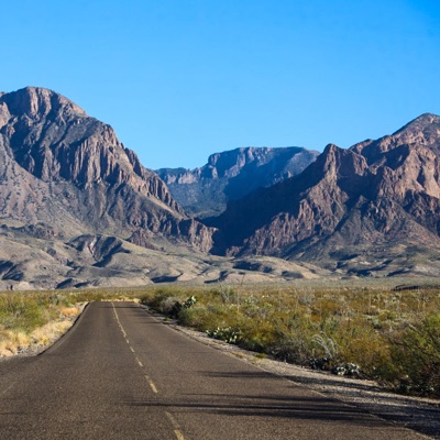 Shadow of Light - Single