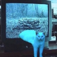 pivot - Single - Tikkit