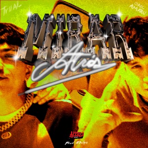 Mirar Atrás
