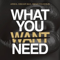 What You Need - Single - Ariza, Oskar Sax & Reno Maximus