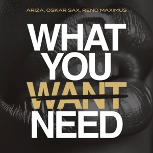 What You Need - Single