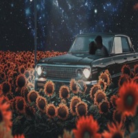 Május VI. - Single - McKvArc