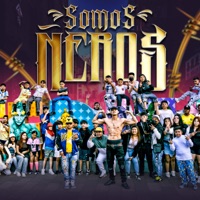 Somos Ñeros - Single - El Bogueto & BARRIO VERDE