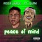 PEACE of MIND (feat. Guini & Guini) - Riger Jarex lyrics