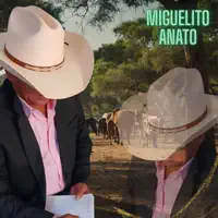 Su Amor la Carta y el Río — Miguelito Anato