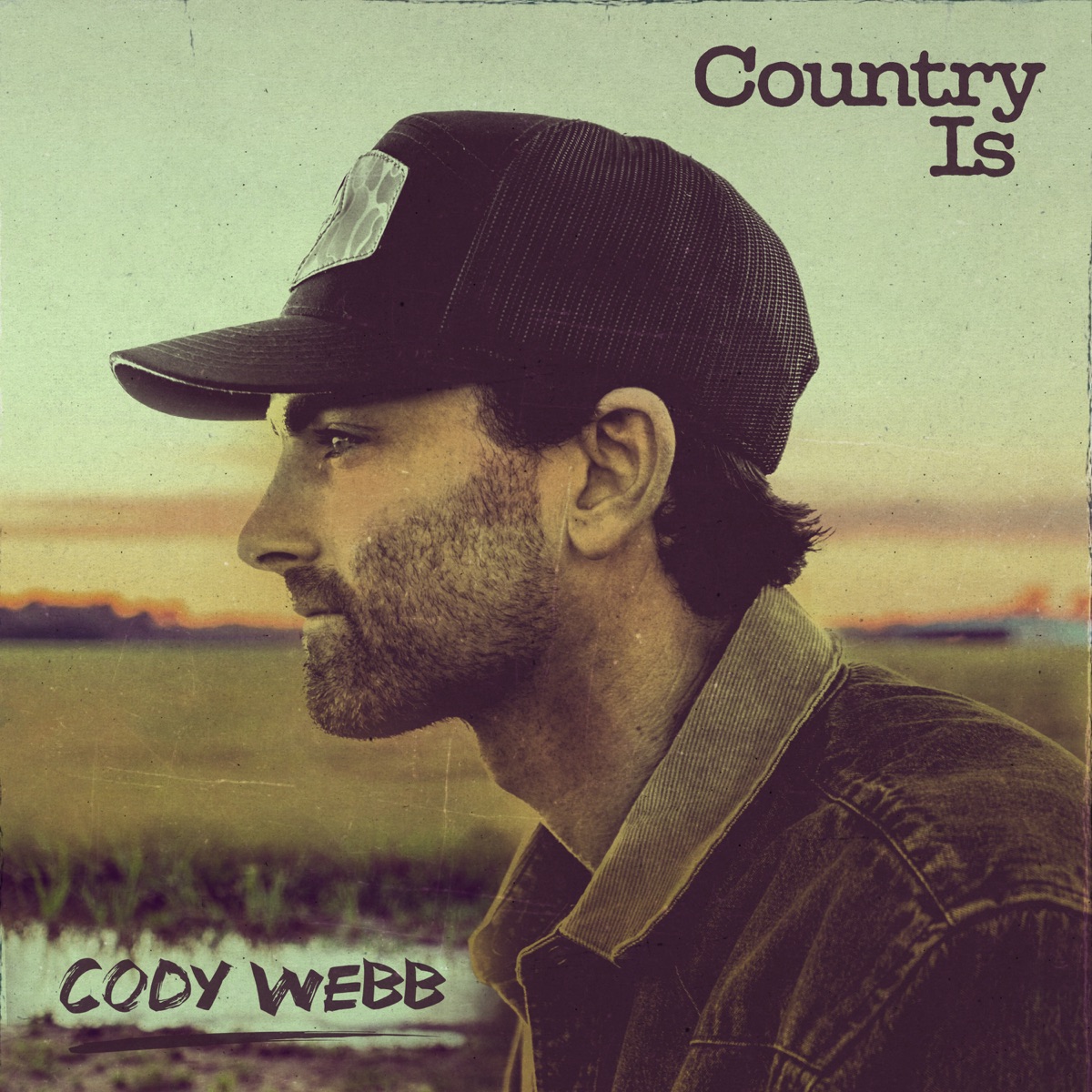 Cody Webb - Country Is (2026) [iTunes Plus AAC M4A]-新房子