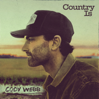 Fall All over Again - Cody Webb Cover Art
