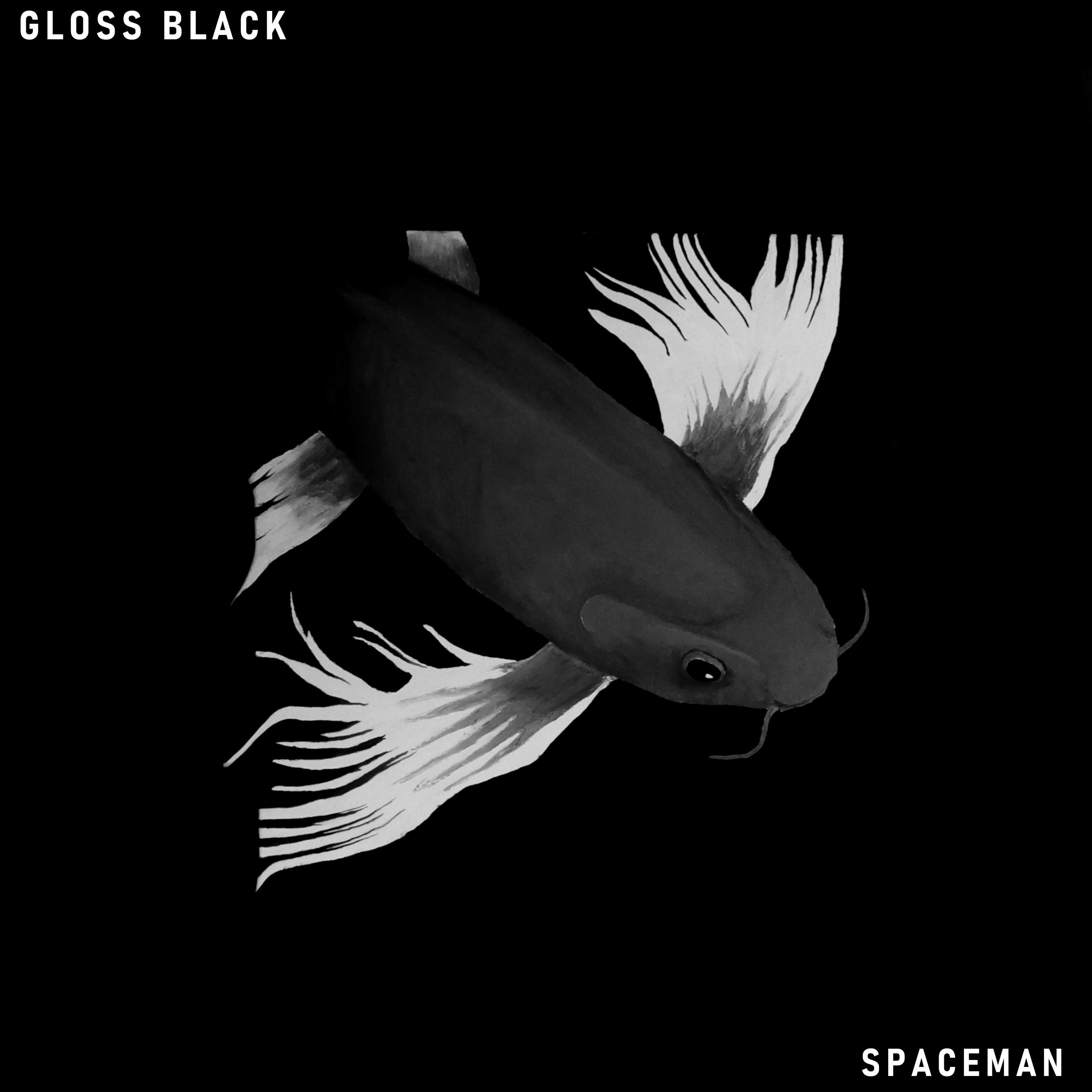 Black Gloss Wardrobe - Wellahbinhthere