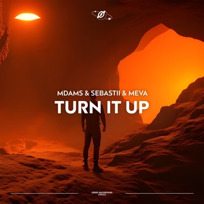 Turn It Up - Single