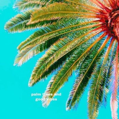 palm trees and good vibes - Single