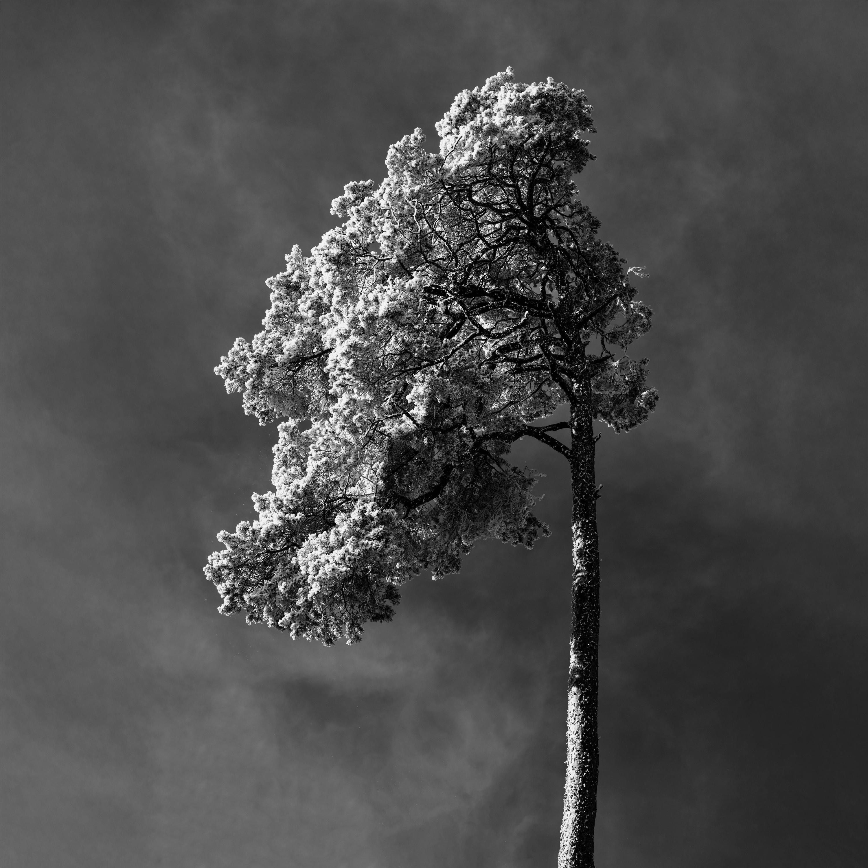 Wind - Single