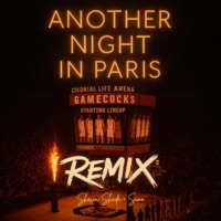 Another Night In Paris (Remix) - Single - Shawn Shade × Music By Suno
