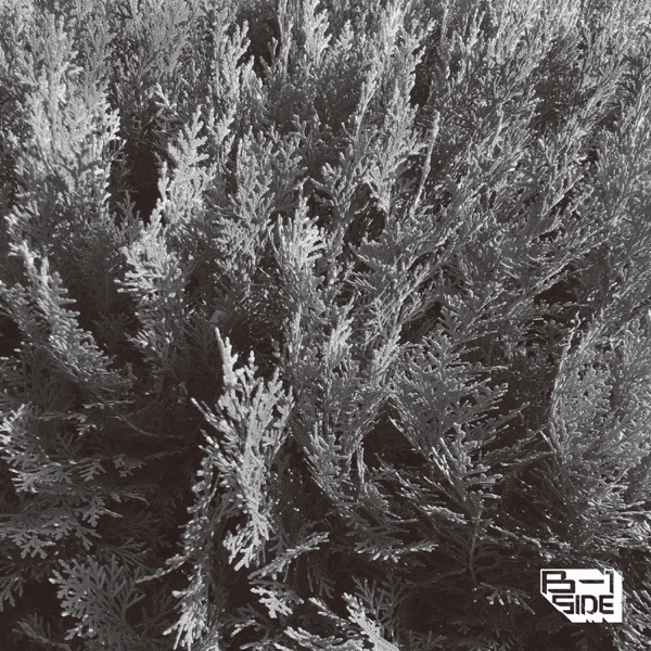 B-Side, Pt. 1 - Single