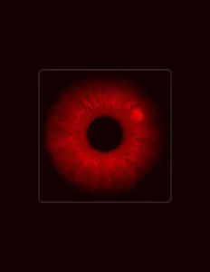 Dengarkan Zen.mad, tonton video musik, baca bio, lihat tanggal tur & lainnya!