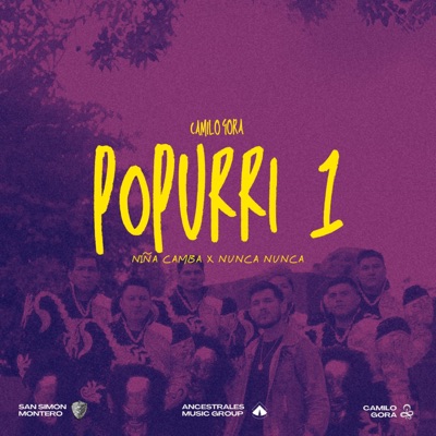 Niña Camba x Nunca Nunca (Popurrí caporal) - Single