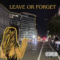 Leave or Forget - Single - Hooper James