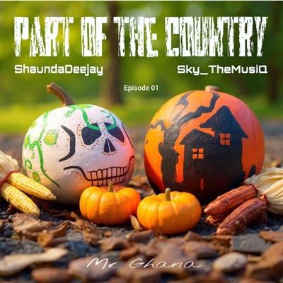 Canada(party like miami) (feat. ShaundaDeejay x Sky_TheMusiQ) - Single