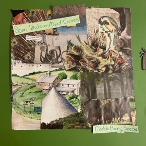 Scum Whatever/Dead Cocoon - Single