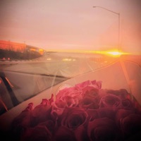 strangers - Single - cip, Scis & Yung Frendi