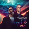 The Perfect Storm - Single, 2024