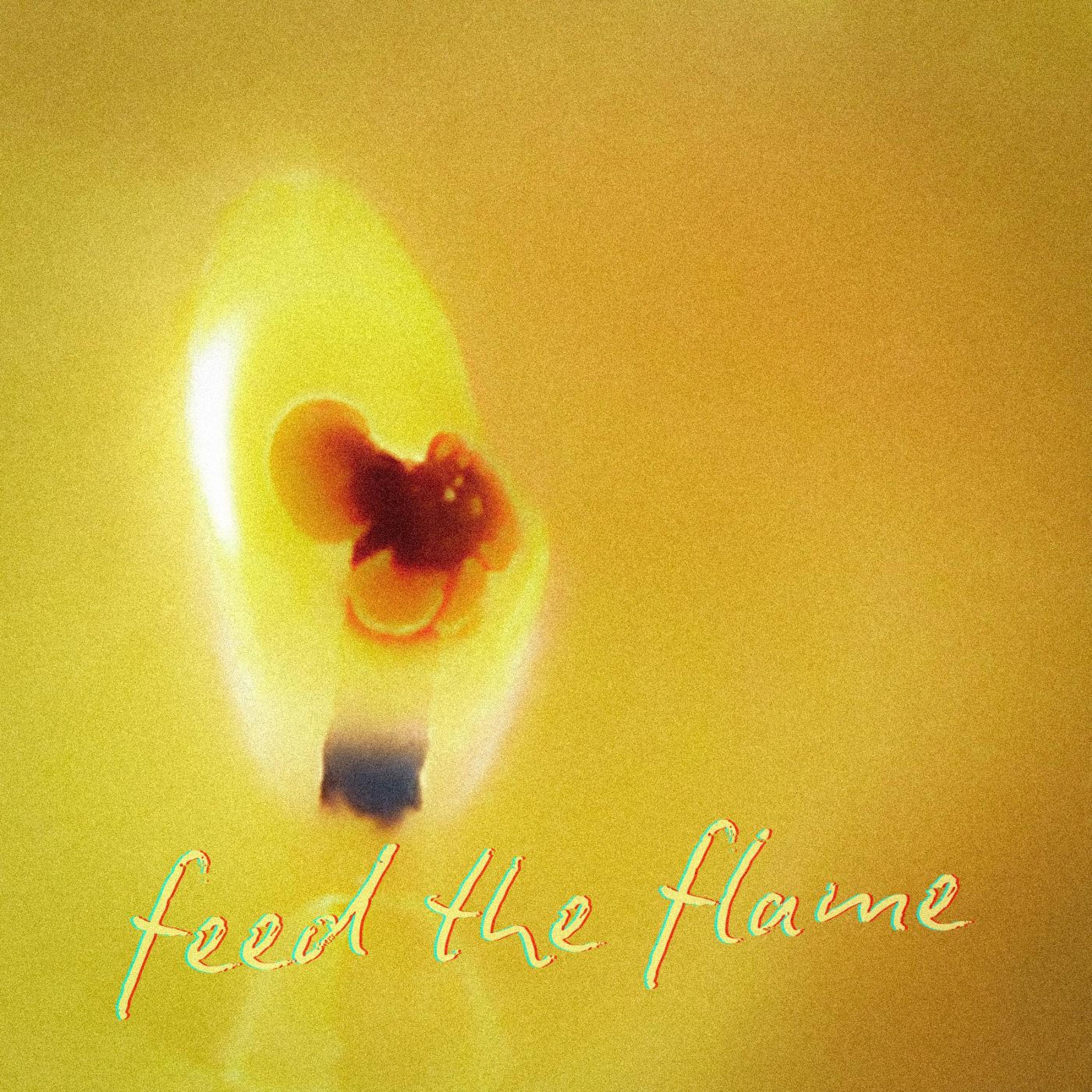 Feed The Flame - Single