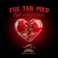 FUE TAN POCO TU CARIÑO