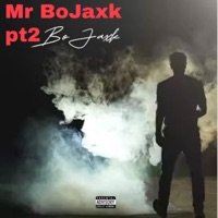 Mr BoJaxk Pt2 - Single - BoJaxk