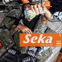pass out. - Single - Seka