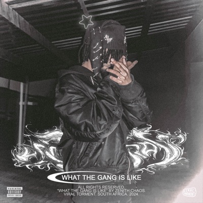 What The Gang Is Like - Single
