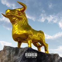 GXLDXN C@LF - J-Merk