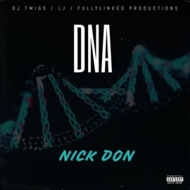 DNA DJ TWIGS FULLYLINKED