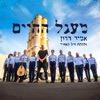 מעגל החיים - Single