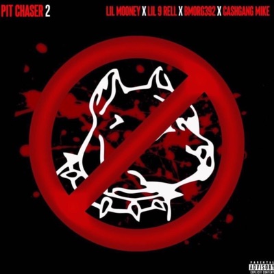 Pit Chaser 2 (feat. Lil9rell, Bmorg392 & Cashgang Mike) - Single