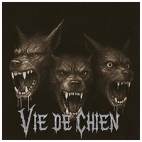 Vie De Chien (feat. CRBR) - Single - Goldburn