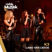 Labo van liefde (uit Liefde Voor Muziek) [Live] artwork