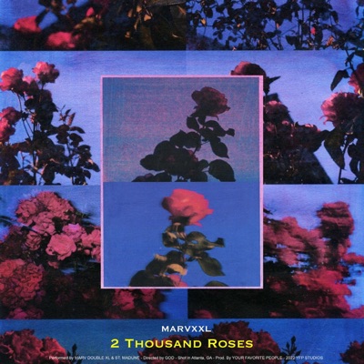 2 Thousand Roses - Single