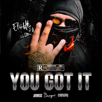 You Got it - Single