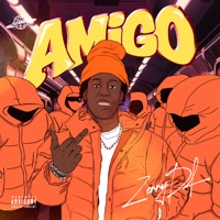 My Amigo - Single - Zerrydl