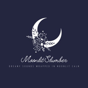 Moonlit Slumber - Dreamy Sounds Wrapped in Moonlit Calm