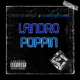 POPPIN Landro