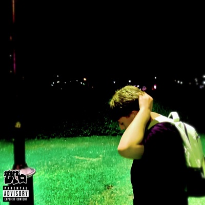 Plaza Fontana (feat. 1dvmi & alevees) - Single