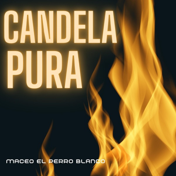 candela pura