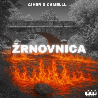 Žrnovnica (feat. Camelll) - Single